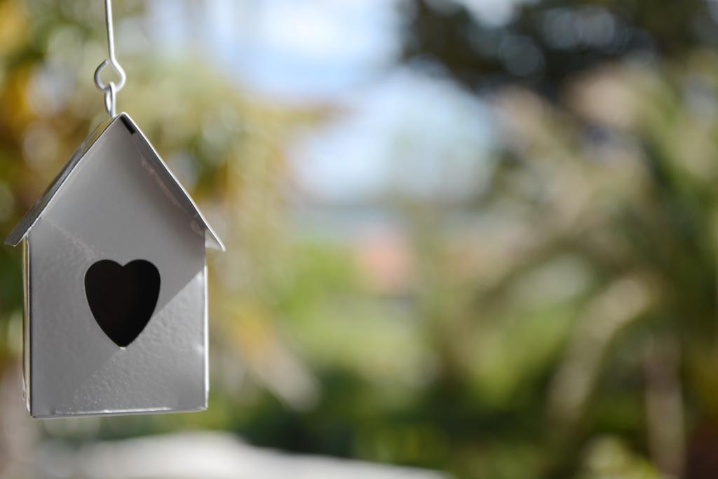 Apartments Katarina Veli Rat Dış mekan fotoğraf